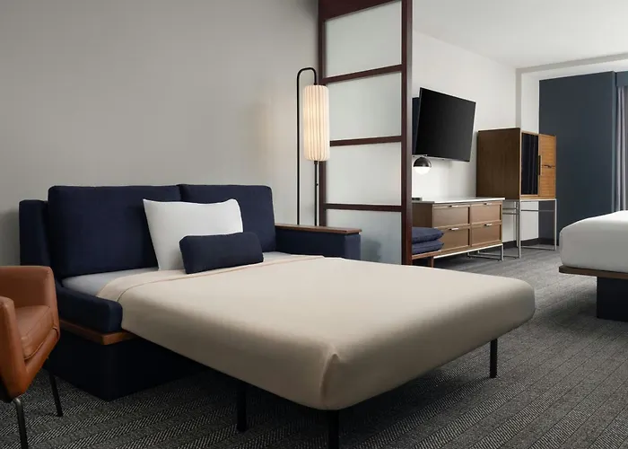 Courtyard By Marriott Dallas Dfw Airport North/Grapevine